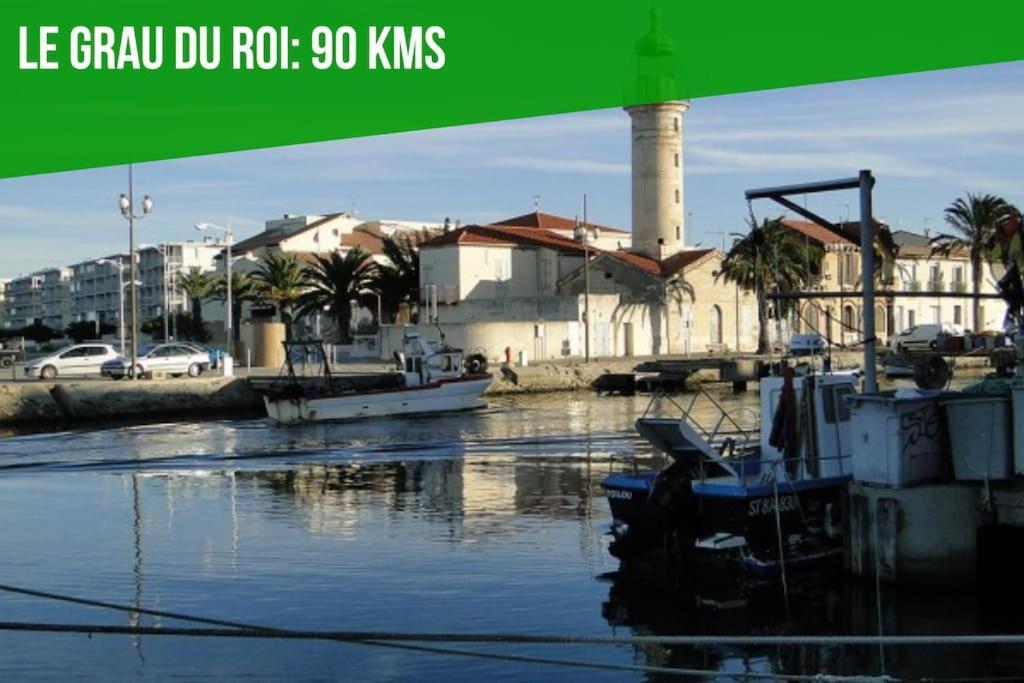 Le Pagnol - Wifi - Clim Leilighet Avignon Eksteriør bilde